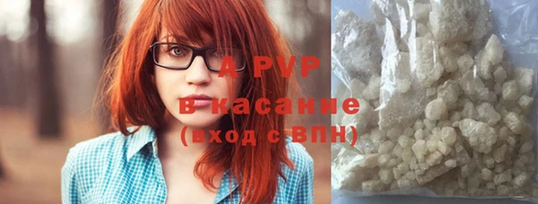 стафф Алзамай