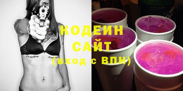 дживик Няндома