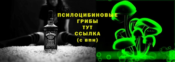 твердый Алексин