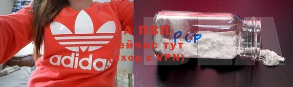 стафф Алзамай