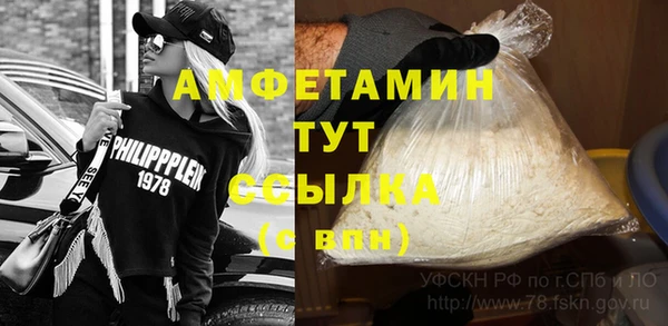 стафф Алзамай