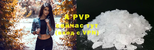 твердый Алексин