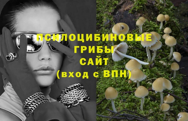 стафф Алзамай
