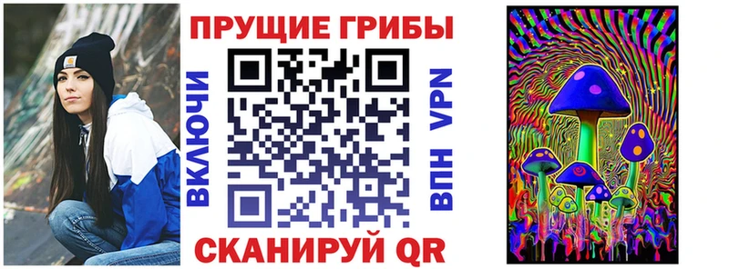 Псилоцибиновые грибы Psilocybe  Новая Ладога 