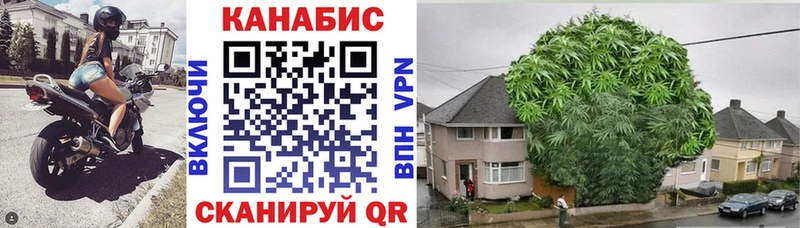 Марихуана семена  Новая Ладога 